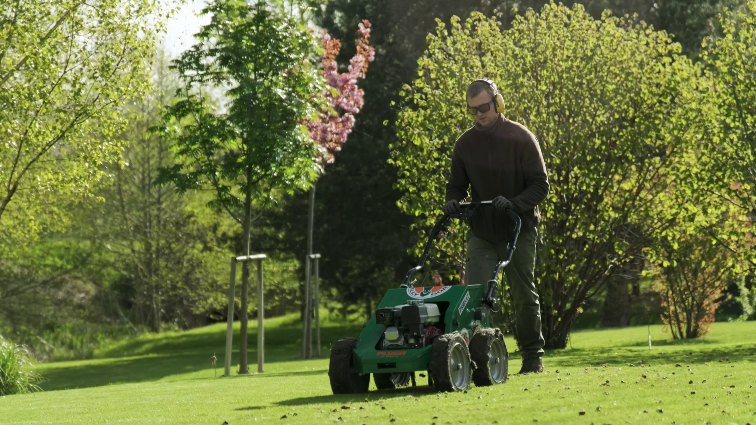 Martynas - vejos priežiūra