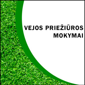 Vejos priežiūros ABC